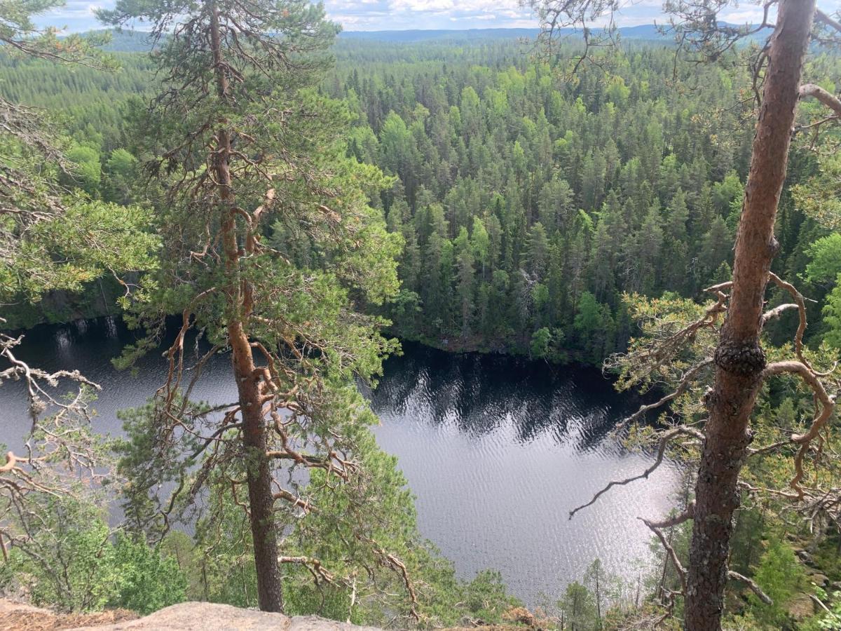 Villa Konnekoski, Pearl Front Of Etelae-Konnevesi National Park Rautalampi المظهر الخارجي الصورة